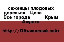 саженцы плодовых деревьев › Цена ­ 6 080 - Все города  »    . Крым,Алушта